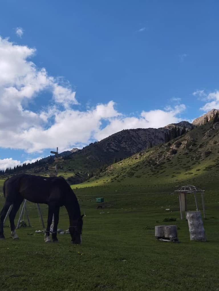 Eco Yurt Camp Arashan Hotel Teploklyuchenka Kültér fotó